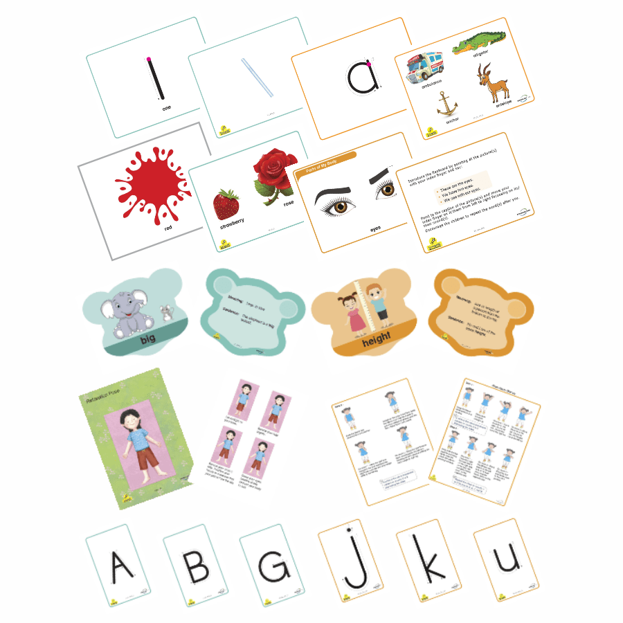 Interactive Flashcards
